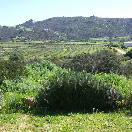 La Valle Del Mirto *
